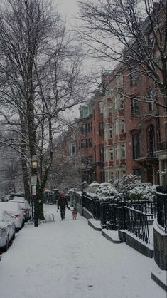 a person walking their dog down a snow covered sidewalk in the middle of a neighborhood