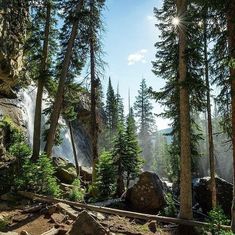 the sun shines through the trees and rocks in the mountainside forest on a sunny day