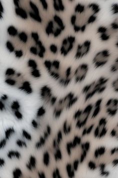 an animal print pattern with black and white spots on it's fur, as seen from above