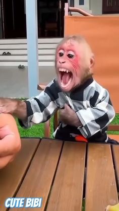 a baby monkey sitting on top of a wooden table with its mouth open and tongue out