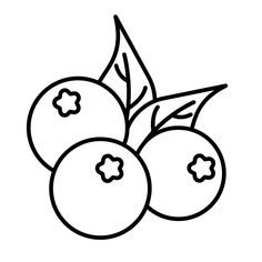 three cherries with leaves on the top and one cherry on the bottom coloring page