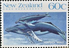 a stamp with two humpback whales on it