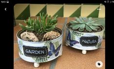 two potted plants sitting on top of a tiled floor