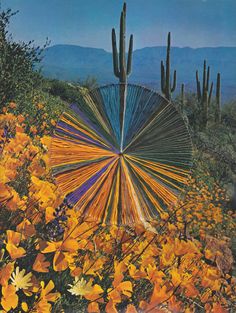 an image of a colorful umbrella in the middle of flowers and cactus trees with mountains in the background