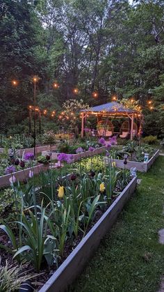 an outdoor garden with lots of flowers and lights