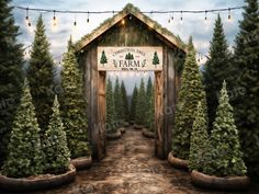 an entrance to a christmas tree farm with lights strung from the roof and trees on either side