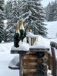 two bottles of champagne sitting on top of a wooden table covered in snow next to pine trees