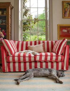 a dog laying on the floor in front of a red and white striped couch next to a window