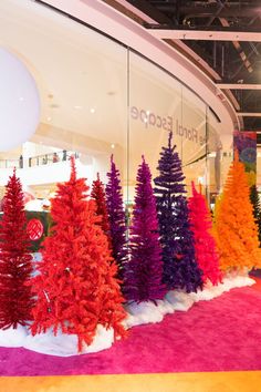 there are many different colored trees in the store