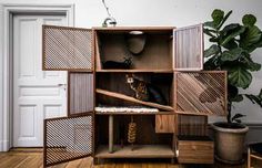 a cat sitting on top of a wooden shelf next to a potted plant