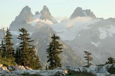 the mountains are covered with snow and pine trees in the foreground is rocky terrain