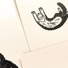 two black and white cards with an image of a slotty bear on it's back