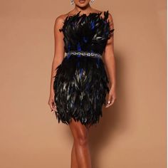 Black Feathered Mini Cocktail Dress. This Dress Has A Strapless Neckline And A Cocktail Silhouette. The Fabric Has A Little Bit Of Stretch. It Can Be Worn For Night Out, And Semi Formal Events. Size Xs Never Worn Sleeveless Feather Dress For Club, Sleeveless Mini Dress With Feathers For Club, Sleeveless Feathered Club Dress, Feathered Sleeveless Club Dress, Sleeveless Feather Dress For Night Out, Black Strapless Dress With Feathers, Sleeveless Feathered Mini Dress For Cocktail, Sleeveless Mini Dress With Feathers For Cocktail, Sleeveless Feathered Cocktail Mini Dress