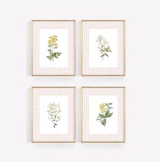 four framed floral prints in pink gingham checkerboard, each with different flowers