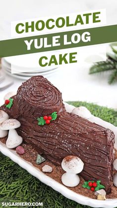 a chocolate yule log cake on a platter with green grass and white plates in the background