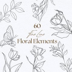 flowers and butterflies with the words 60 fine line floral elements