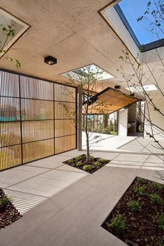 an open courtyard with trees and plants in the foreground is seen from across the room