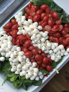 a salad with tomatoes, mozzarella and spinach leaves on the side is ready to be eaten