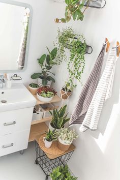 a bathroom with plants and towels hanging on the wall next to a sink, mirror and towel rack