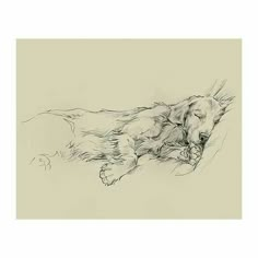 a black and white drawing of a dog laying on its back with it's eyes closed