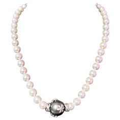 Akoya & Tahitian Pearl Necklace with Diamond 17" 14k W Gold Certified $8,975 402675 Nothing says, "I Love you” more than Diamonds and Pearls! This custom-made, one-of-a-kind necklace features stunning pearls: a strand of 8-5-8 mm Akoya pearls and one 16 mm Tahitian pearl in the center adorned with diamonds   The clasp is crafted in luxurious 14k gold and set with diamonds   This magnificent necklace measures 17 inches in length, offering a perfect balance of elegance and sophistication. A true m Tahitian Pearl Necklace For Formal Occasions, Tahitian Pearl Necklace For Formal Events, Tahitian Pearl Necklace For Formal Wear, Luxury Akoya Pearl Necklace In Exquisite Style, Tahitian Pearl Fine Jewelry Necklace For Anniversary, Luxury Tahitian Pearl Jewelry For Anniversary, Classic Tahitian Pearl Necklace For Anniversary, Fine Jewelry Tahitian Pearl Necklace For Anniversary, Fine Jewelry White Gold Necklace With High Luster