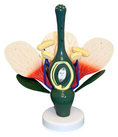 a green vase sitting on top of a white table next to a flower shaped clock