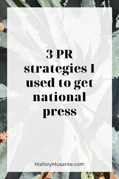 the words 3 prr strategies i used to get national press on top of an image of succulents