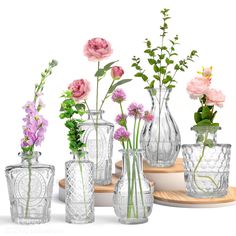 there are many vases with flowers in them