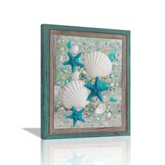 two seashells and starfish in a wooden frame