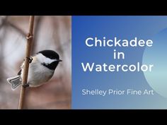 chickade in watercolor - sheley prior fine art video thumbnail image 1