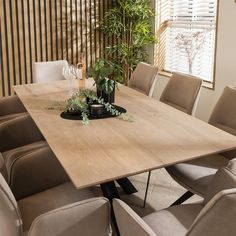 a dining room table with chairs and a potted plant on the top in front of it