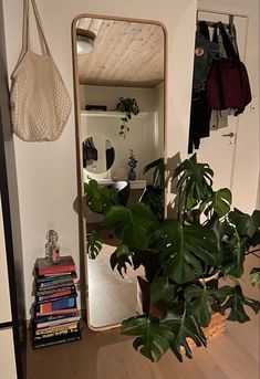 a mirror sitting on top of a wooden floor next to a plant in a pot