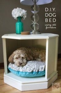 a dog is laying on his bed under the nightstand