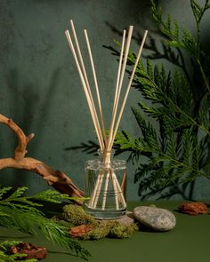 reeds in a glass vase with moss and rocks on the table next to it