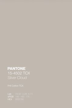 pantone's silver cloud paint color is shown