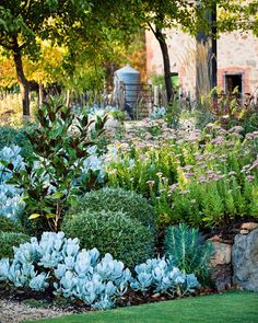 a garden filled with lots of different types of flowers and plants next to a stone wall