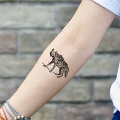 Hyena Animal, Custom Temporary Tattoos, Temporary Tattoo Stickers, Tattoo Sticker, Iris Flowers, Fake Tattoos, Hyena, Baby Oil