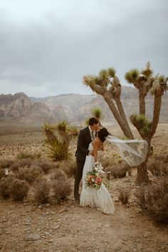 a bride and groom standing in front of a joshua tree with their veil blowing in the wind