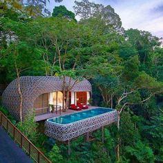 an aerial view of a house in the middle of trees with a swimming pool surrounded by greenery