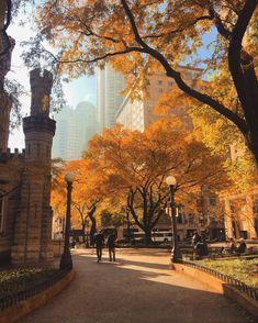 two people walking down the street in an autumn park with yellow trees and tall buildings