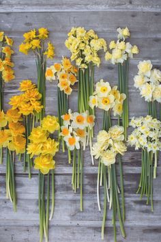 a bunch of flowers that are sitting on a wooden table with some stems in front of them