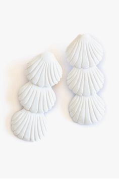 three white seashells on a white background