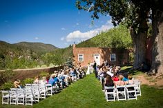 a group of people that are sitting in chairs on the grass near some trees and bushes