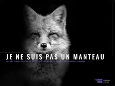 a black and white photo of a fox with the words je ne suis pas un manteau