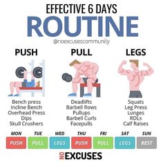 an info poster showing how to do the routine for each bodybuiler's workout