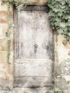 an old door with ivy growing on it's sides and the top half open