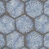 an image of a blue and white pattern on the surface of a hexagonal structure