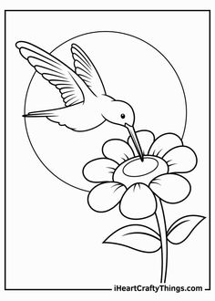 Humming Bird Coloring Page, Animal And Flower Drawing, Embroidery Pictures Drawing, Drawings For Kids To Color, Traceable Drawings Free Printable, Coloring Pages For Girls Kids, Drawing For Painting, Pictures To Trace, May Coloring Pages