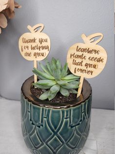 two wooden signs on top of a plant in a pot with succulents