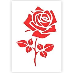 a red rose is shown on a white background